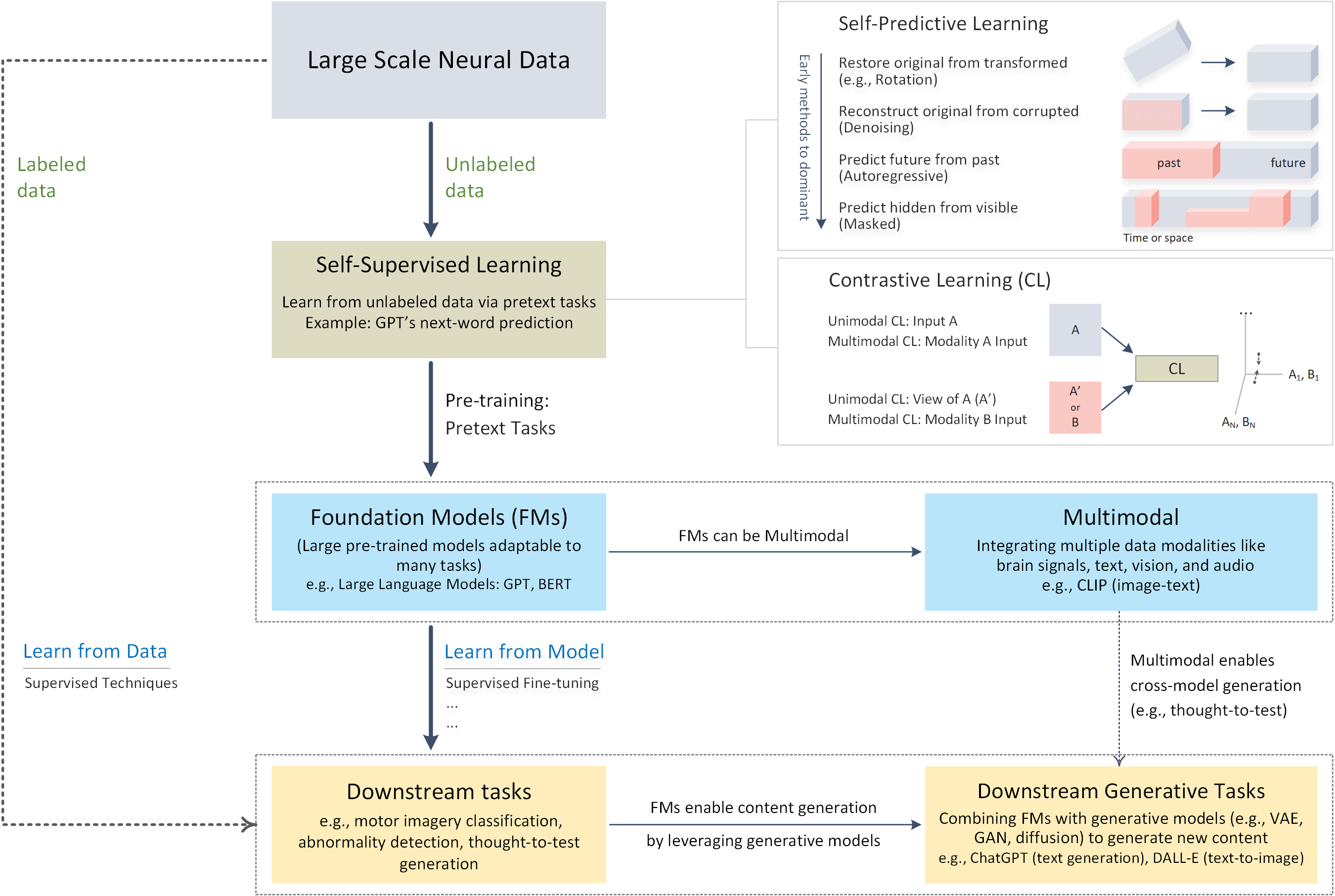 Brain Foundation Models